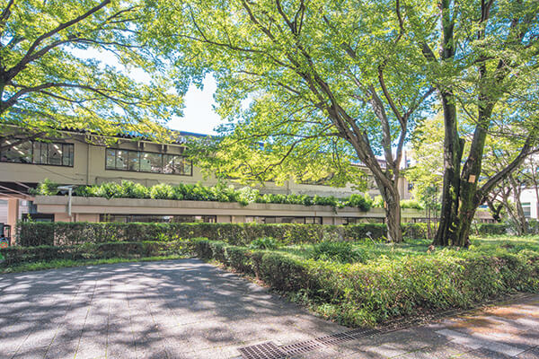 大学図書館