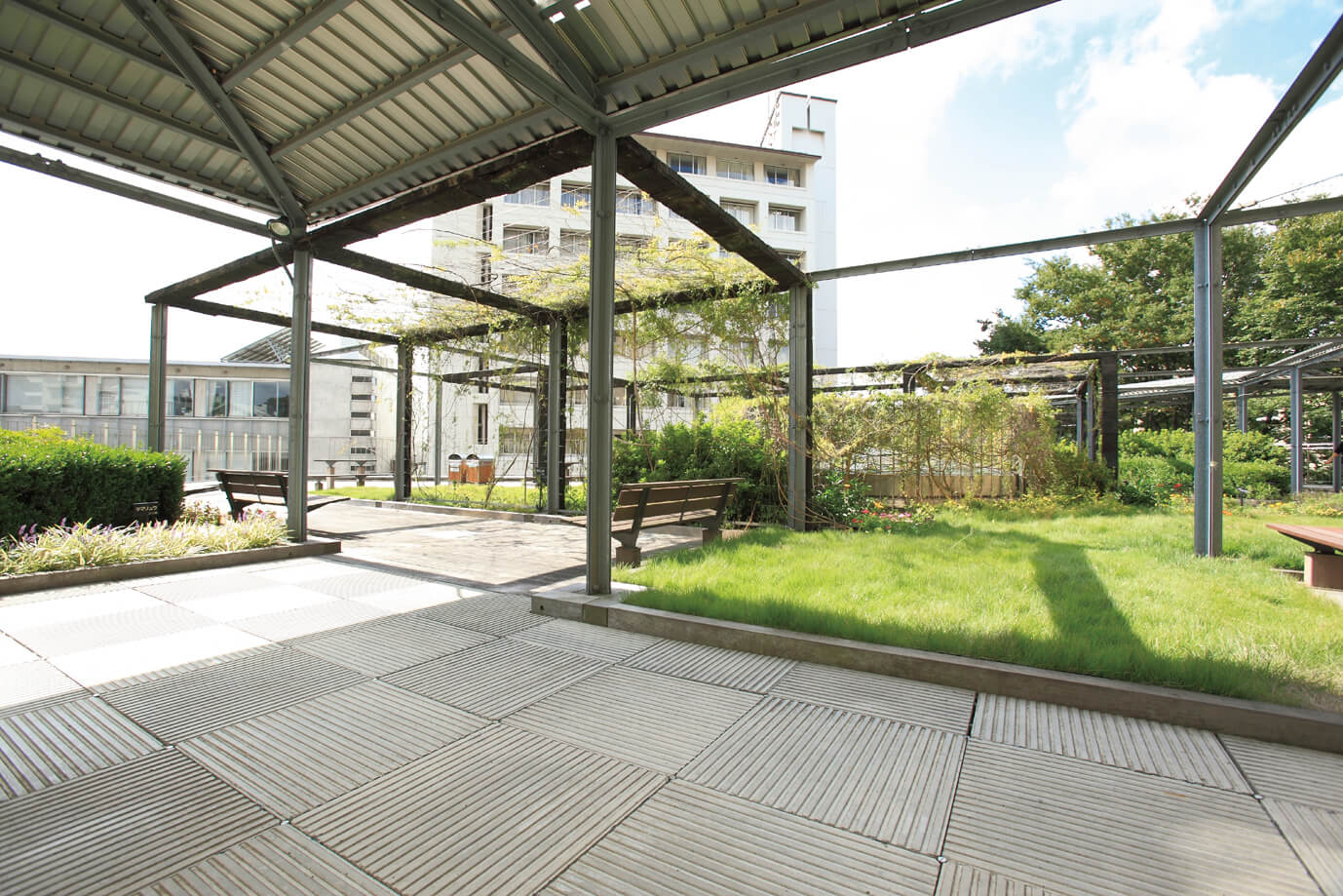 空中庭園