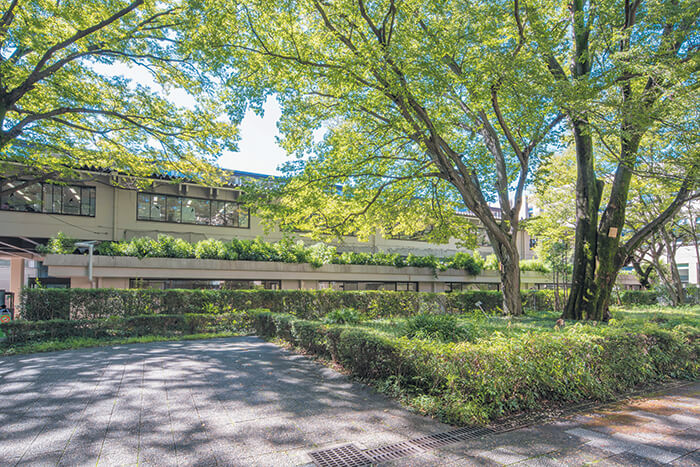 大学図書館