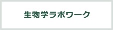生物学ラボワーク