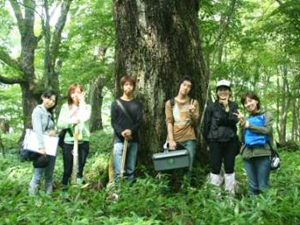 自然科学集中プロジェクト （丸橋珠樹 ）